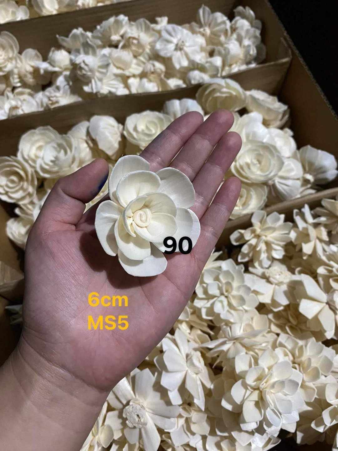 Sola Wood Flower