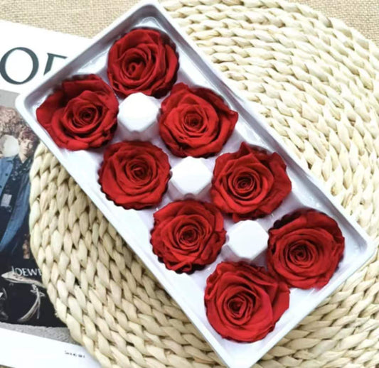 Eternal Rose Red Shades