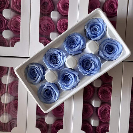 Eternal Rose Blue and Green Shades