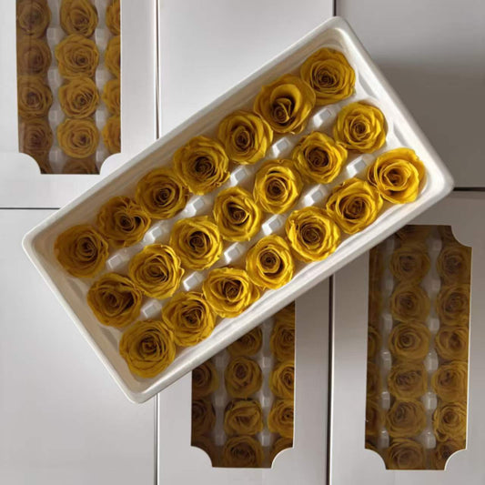 Eternal Rose Yellow and Orange Shades