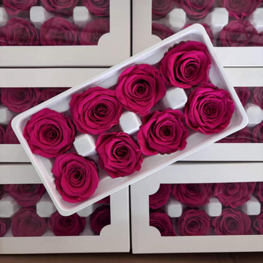 Eternal Rose Pink Shades