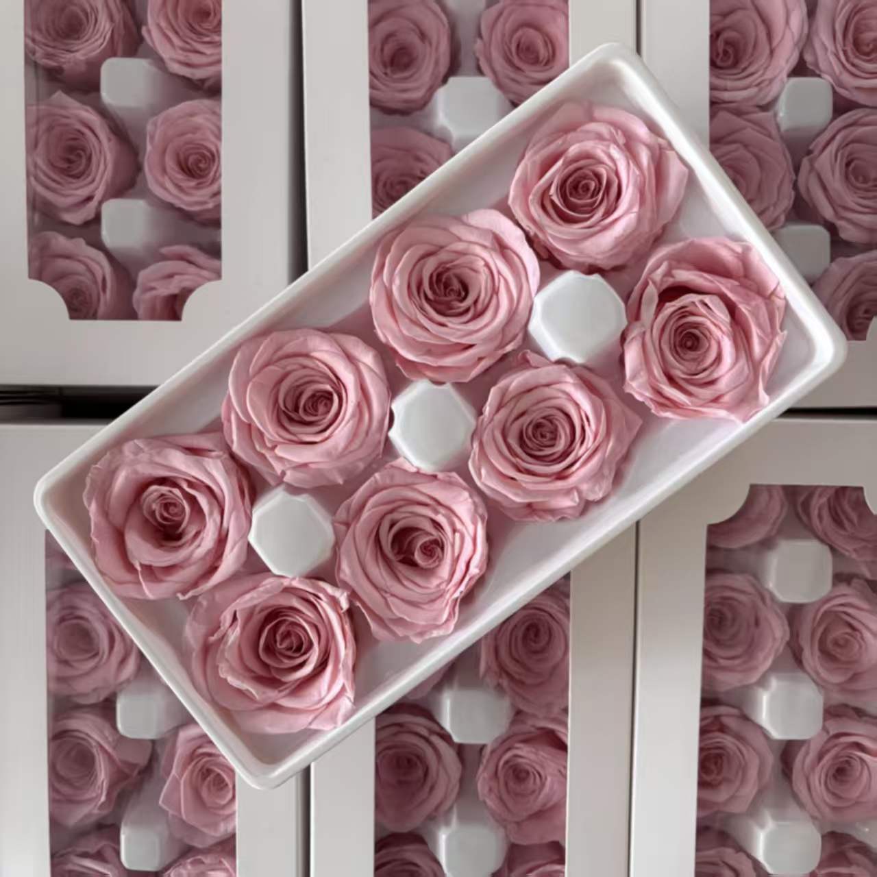 Eternal Rose Pink Shades