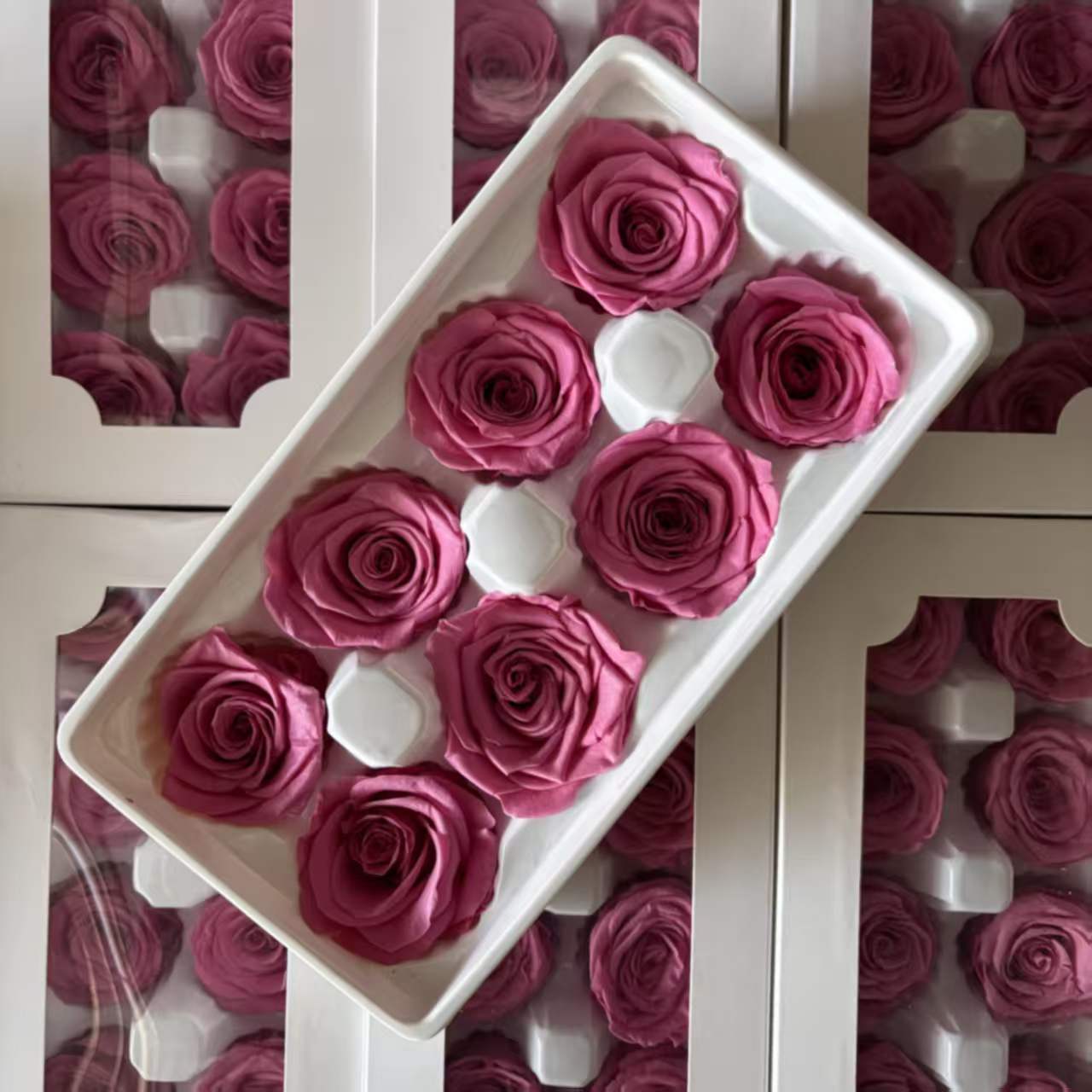 Eternal Rose Pink Shades