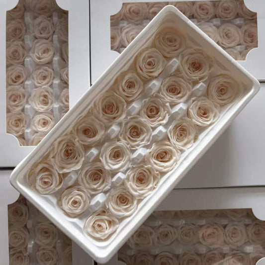 Eternal Rose White and Beige Shades