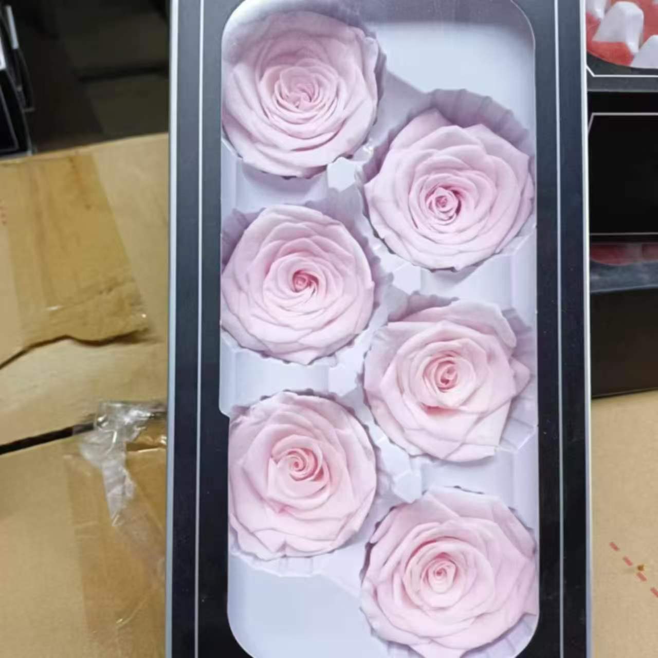Eternal Rose Pink Shades