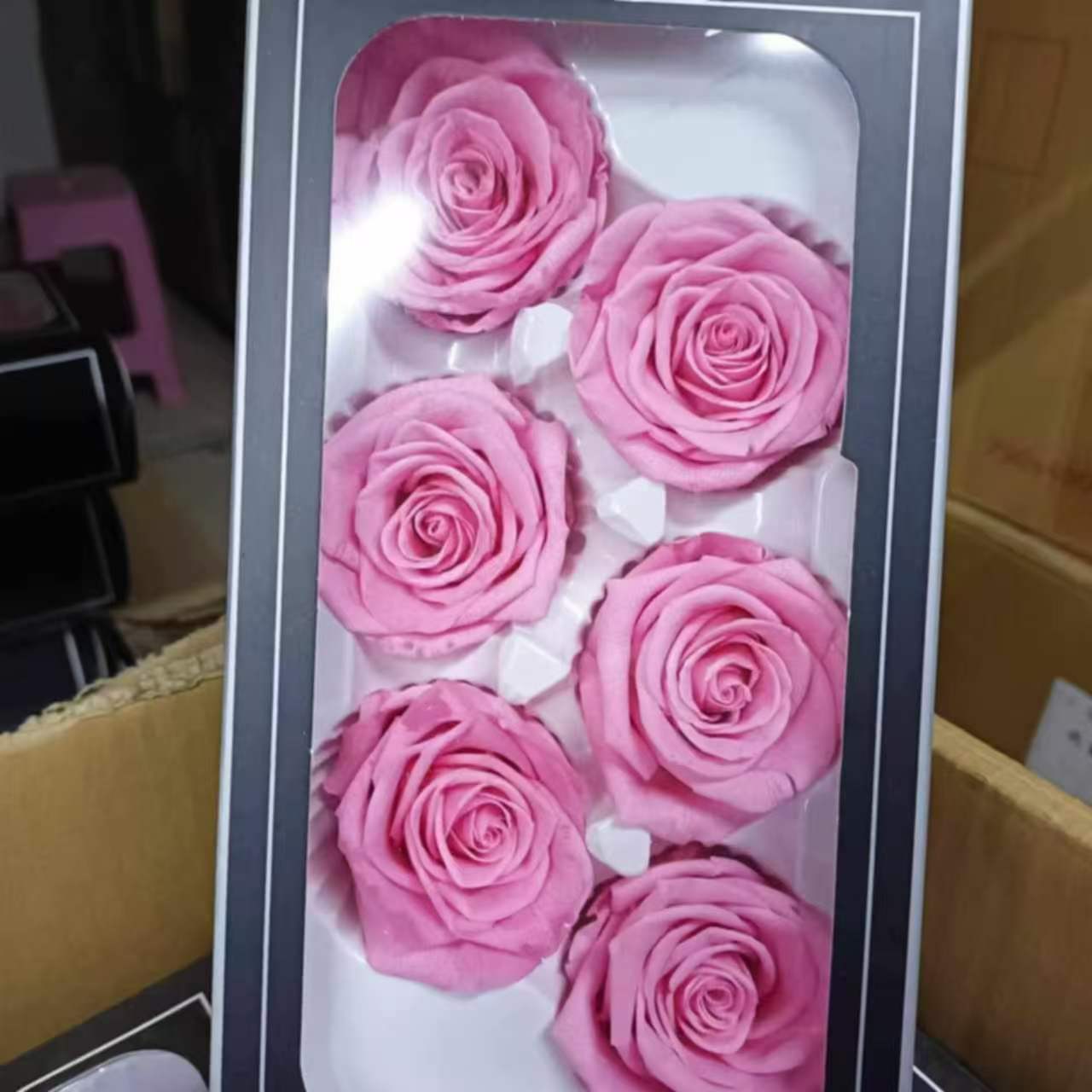 Eternal Rose Pink Shades