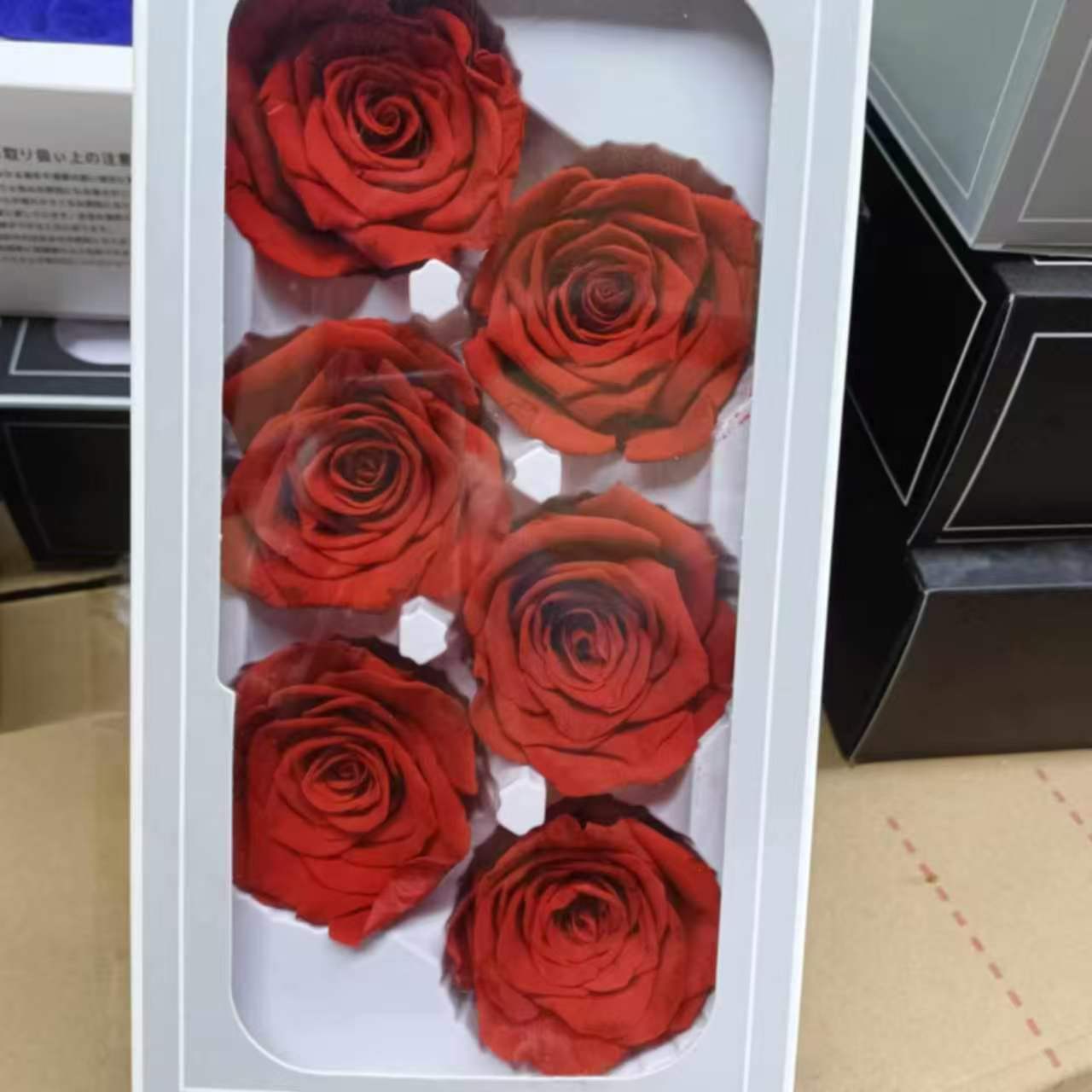 Eternal Rose Red Shades