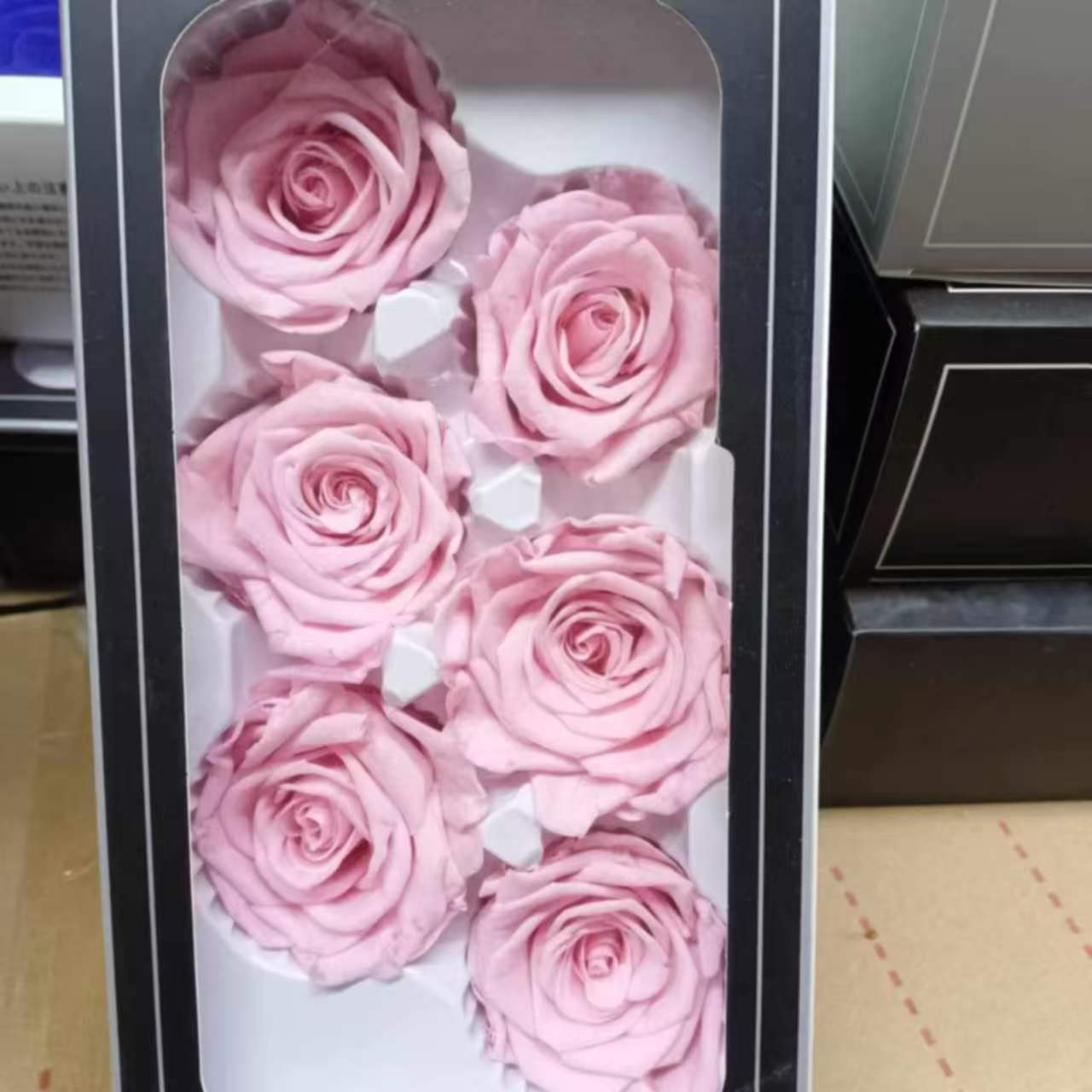 Eternal Rose Pink Shades