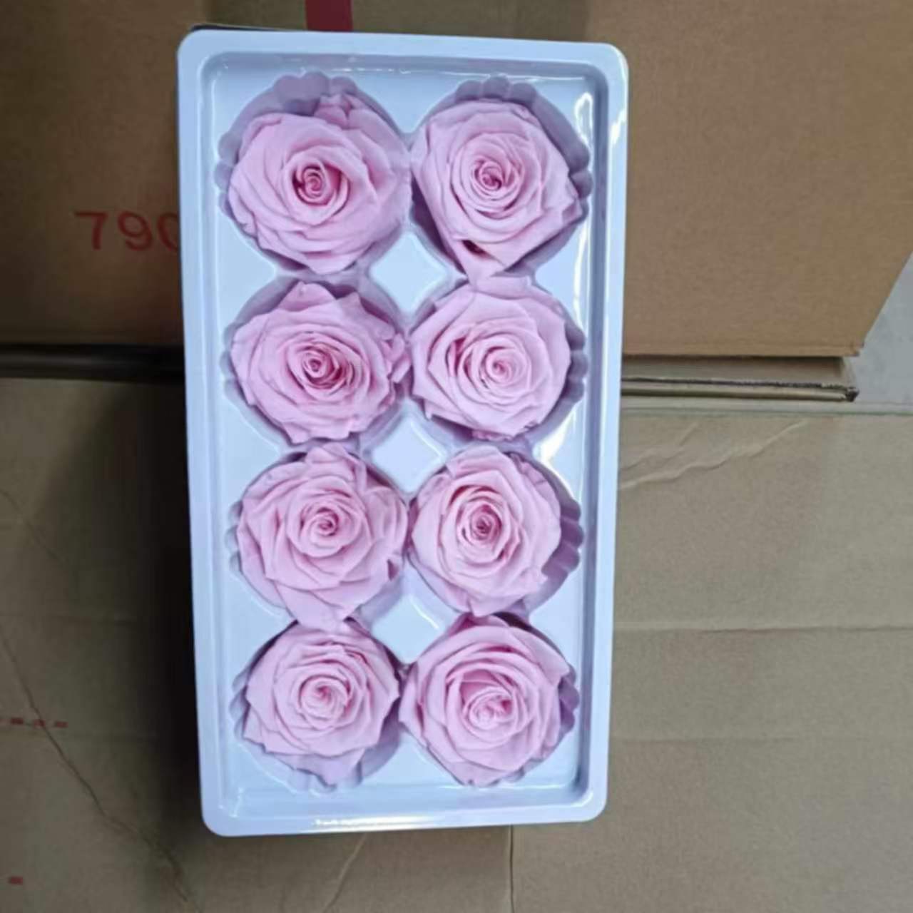 Eternal Rose Pink Shades