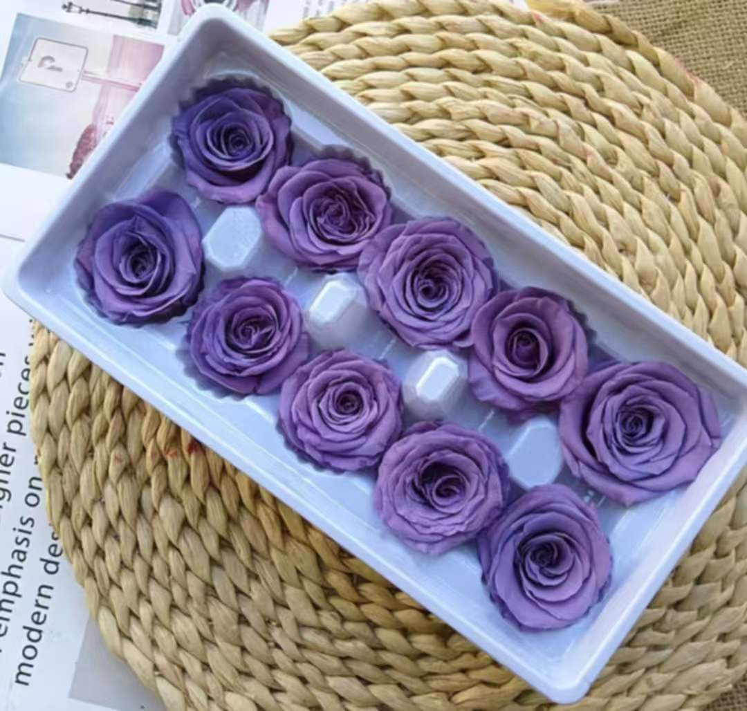 Eternal Rose Purple and Lavander Shades