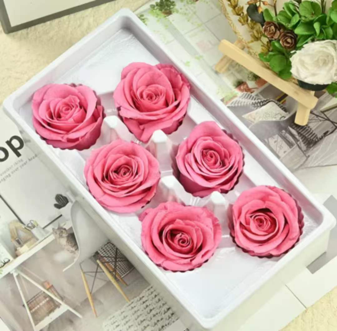 Eternal Rose Pink Shades