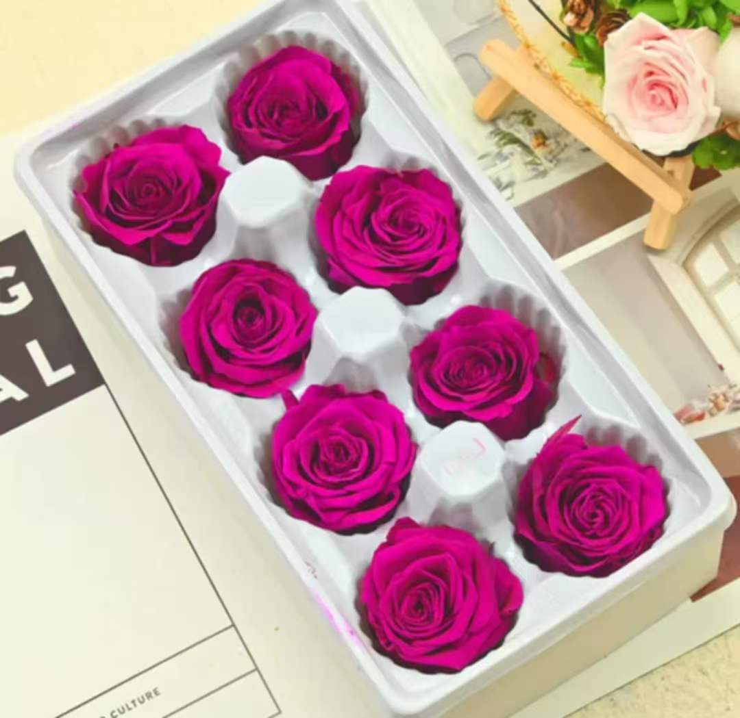 Eternal Rose Pink Shades
