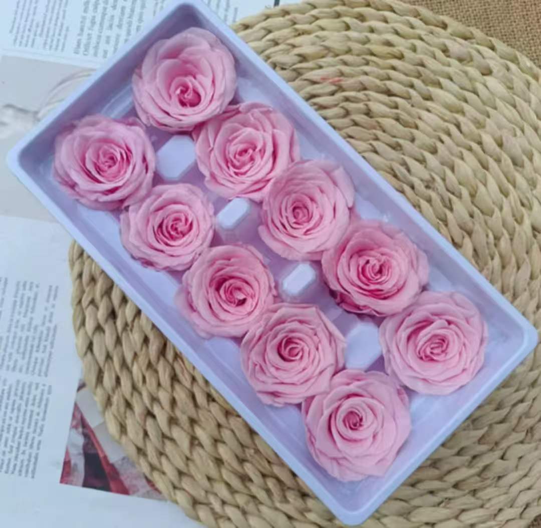 Eternal Rose Pink Shades