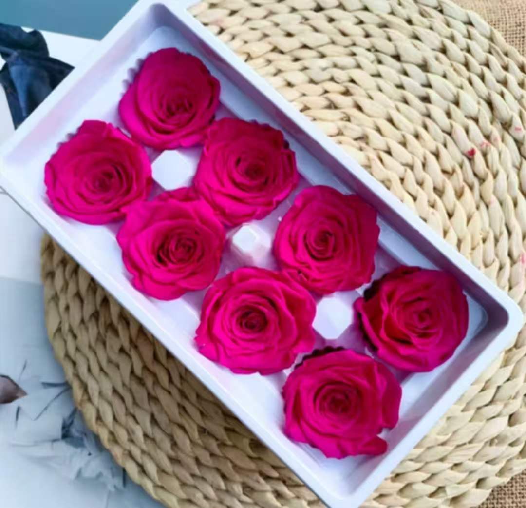 Eternal Rose Pink Shades