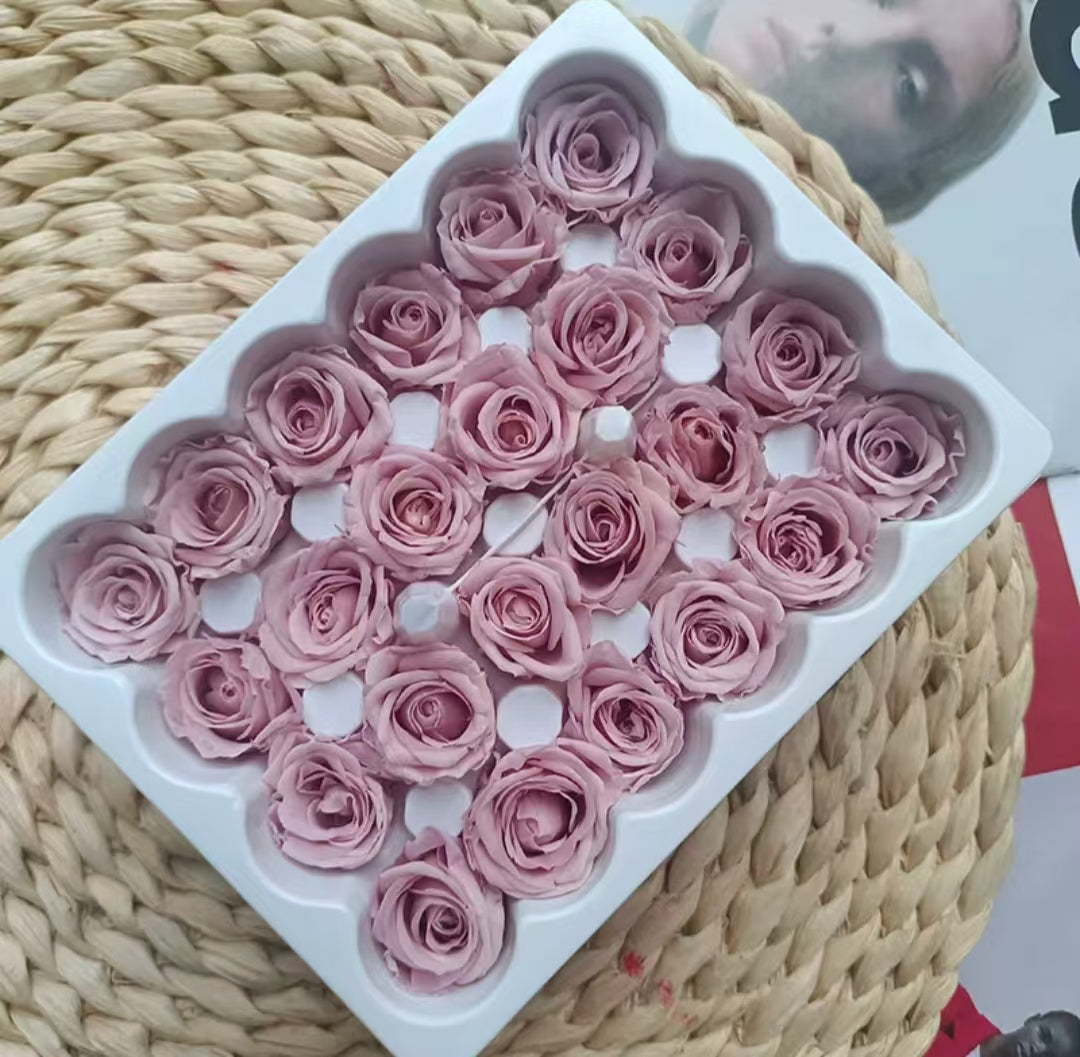 Eternal Rose Pink Shades