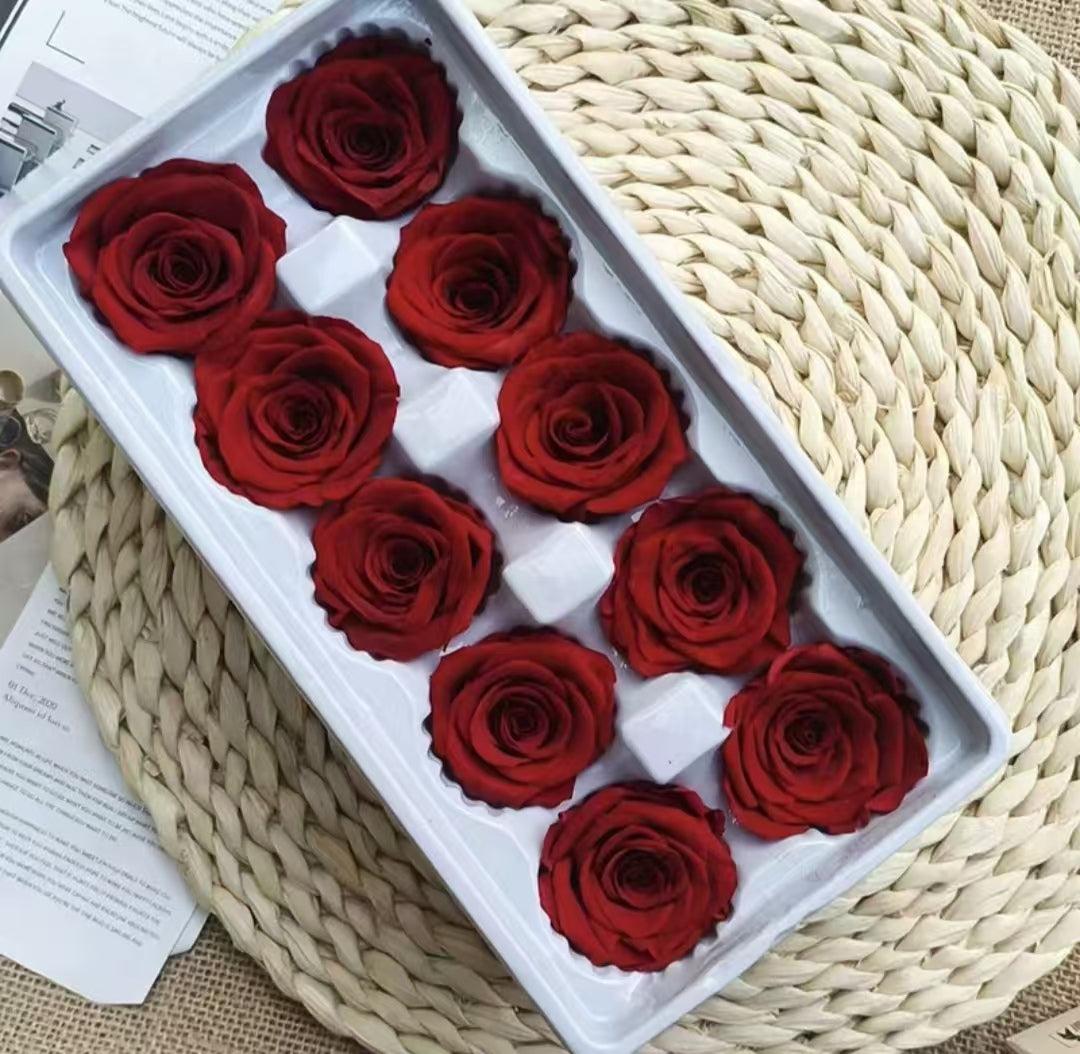 Eternal Rose Red Shades