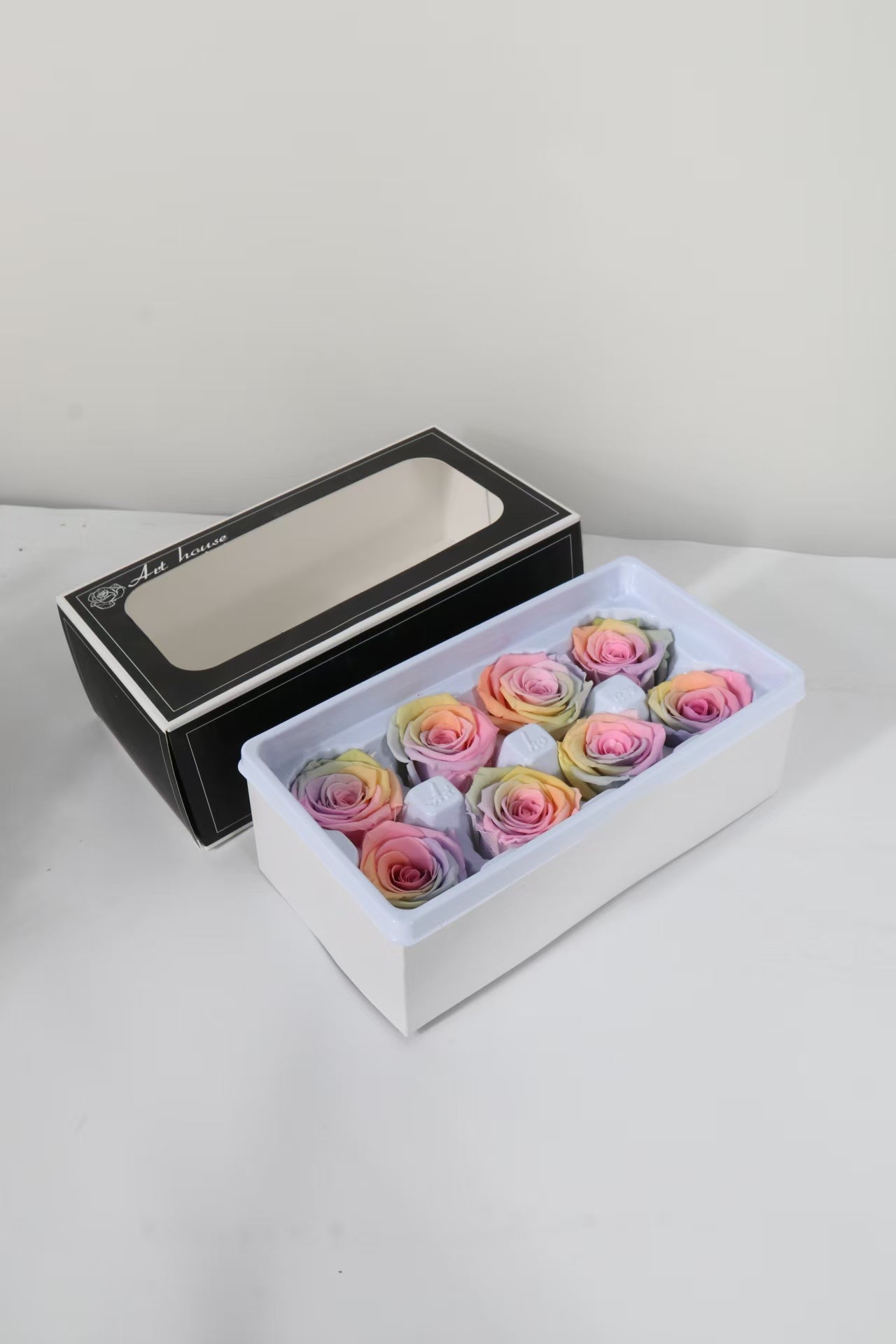 Rainbow Rose