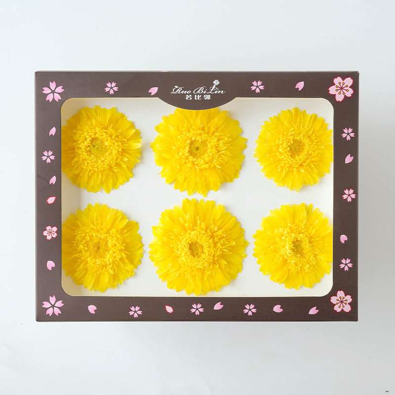 Gerbera