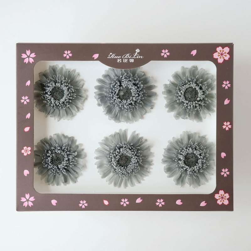Gerbera