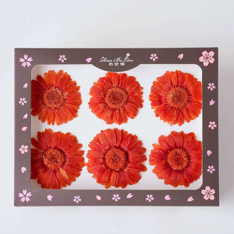 Gerbera