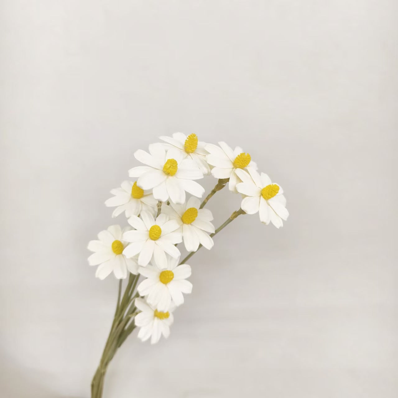 Sunflower Seed Wood Flower