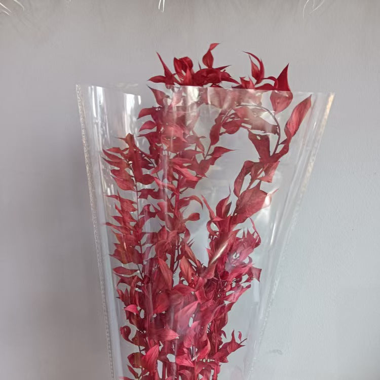 Ruscus