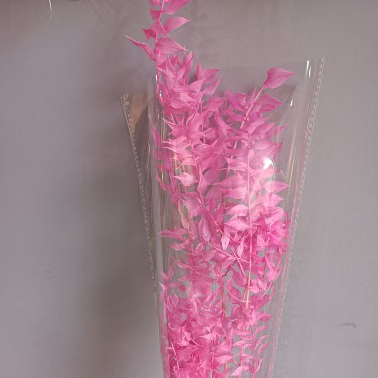 Ruscus