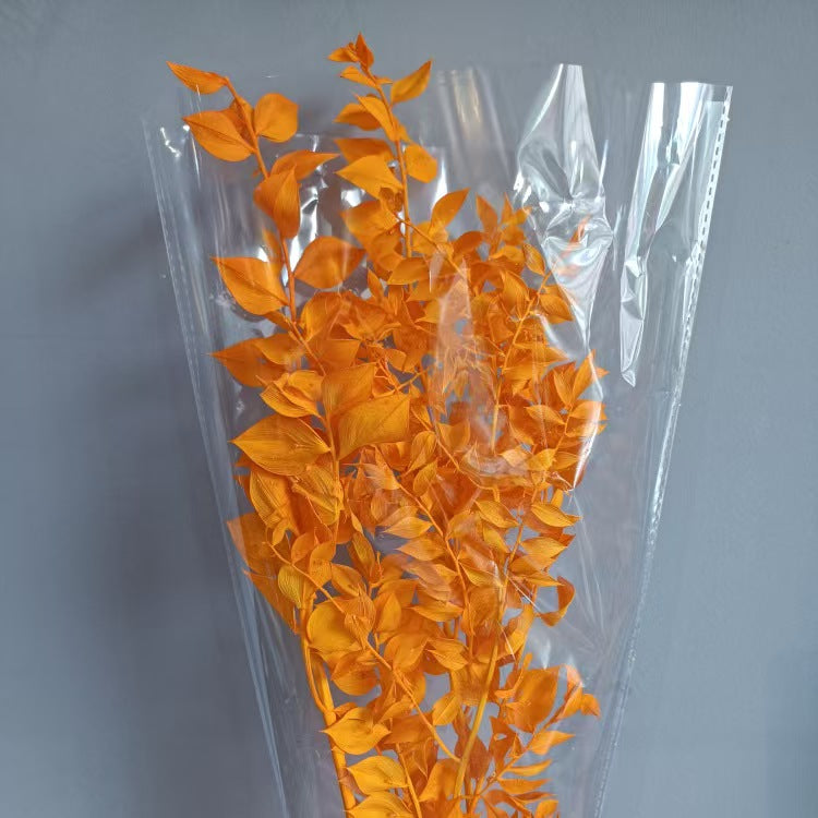 Ruscus