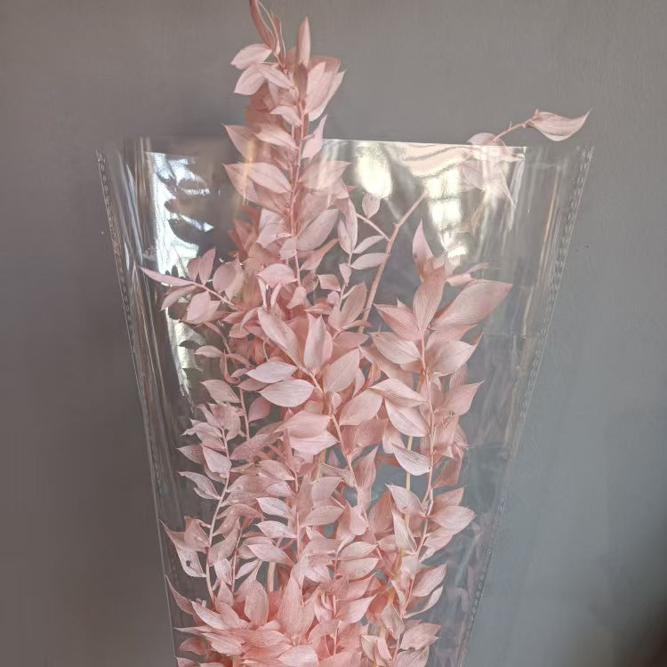 Ruscus