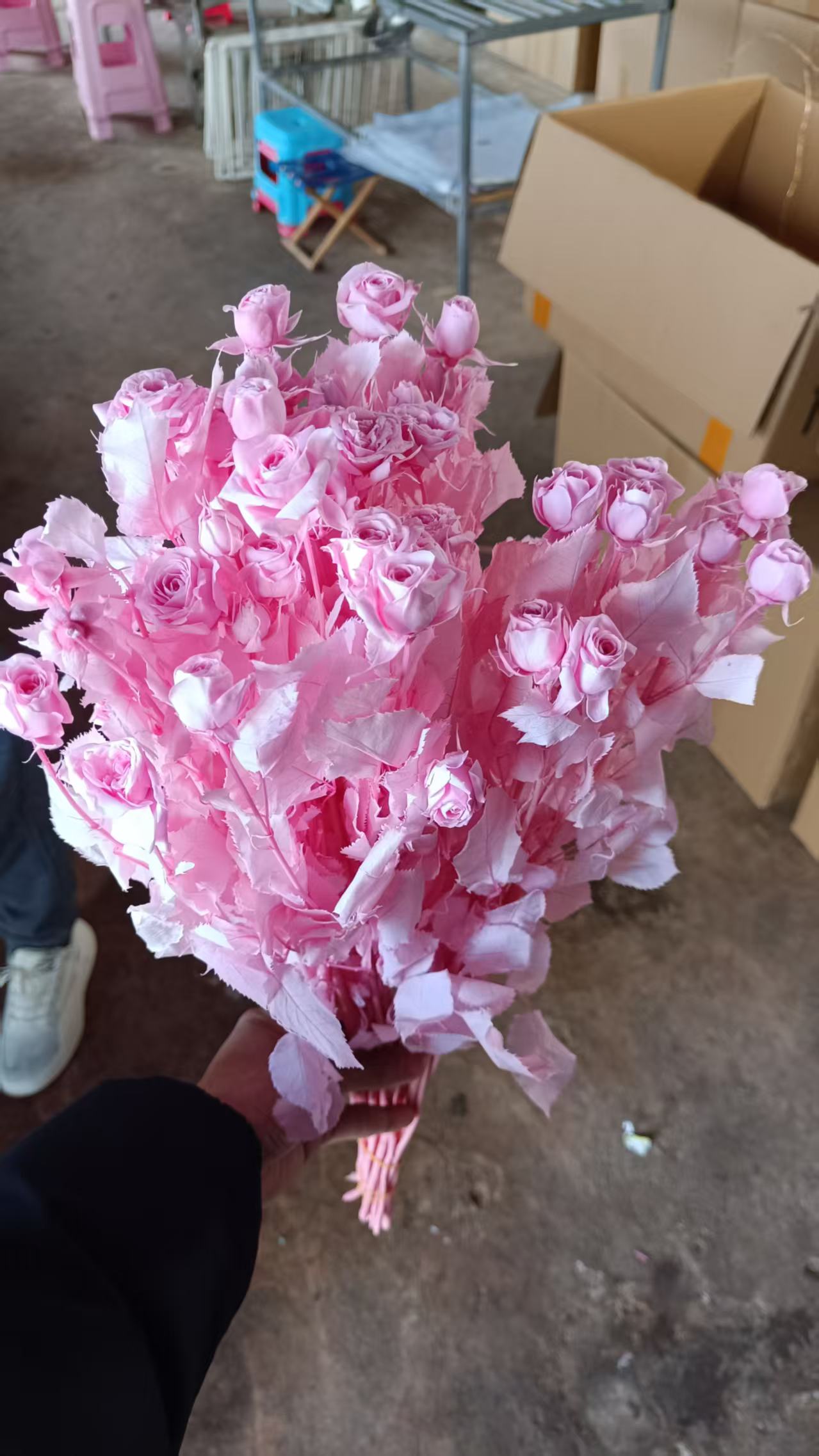 Rose with Stem