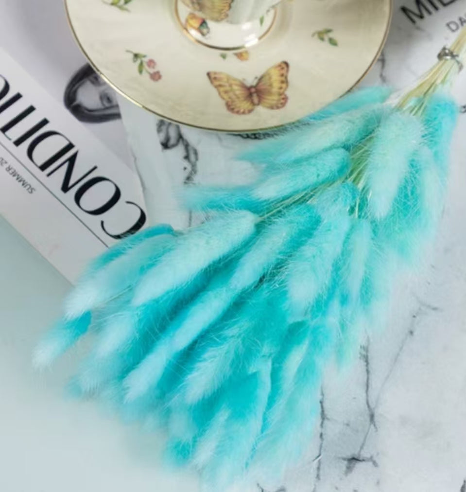 Bunny Tail