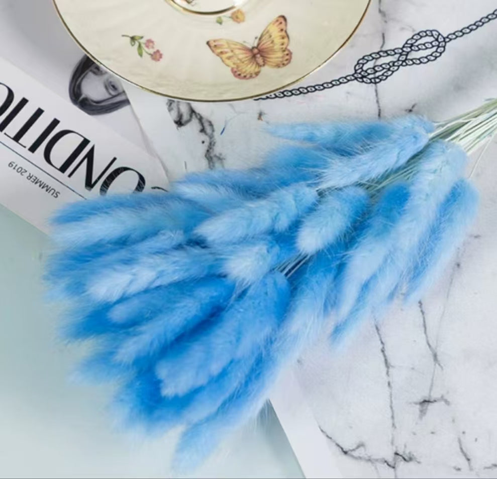 Bunny Tail