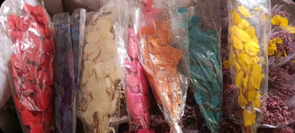 CLEARANCE SALE!!!