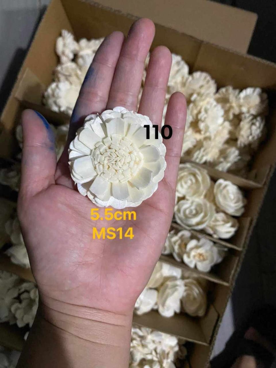 Sola Wood Flower