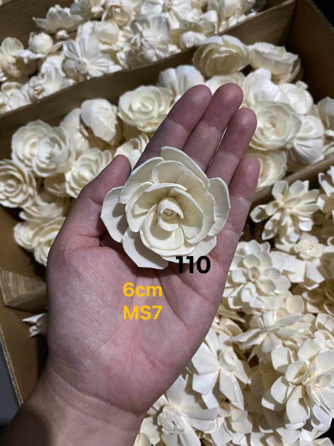 Sola Wood Flower