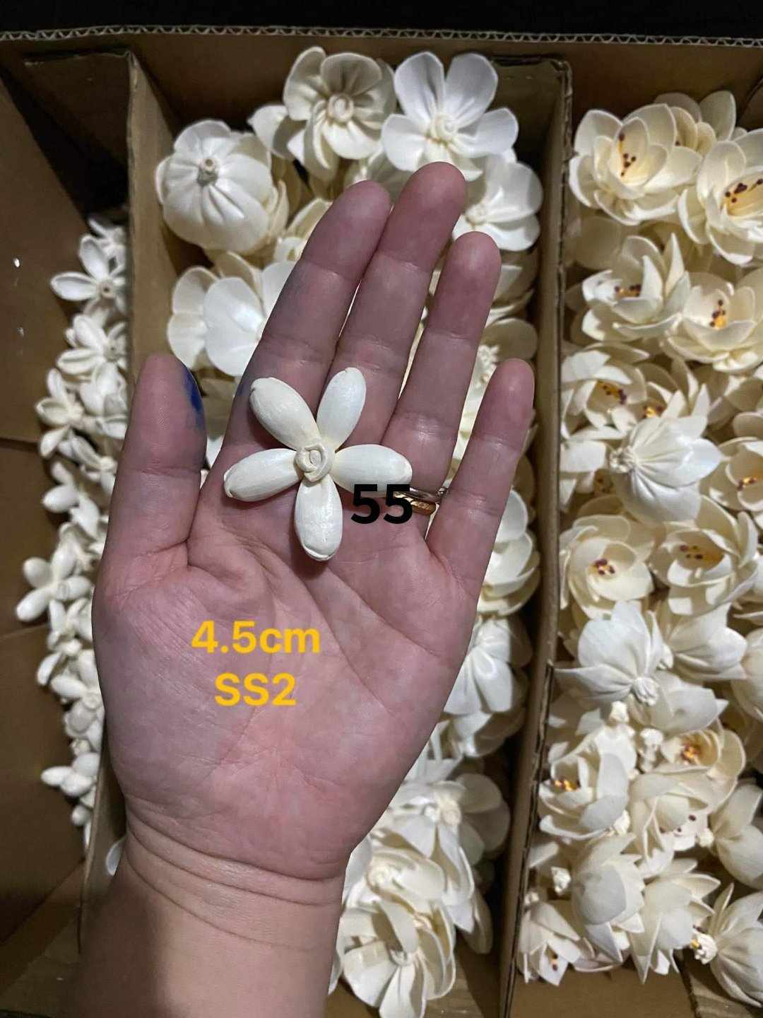 Sola Wood Flower