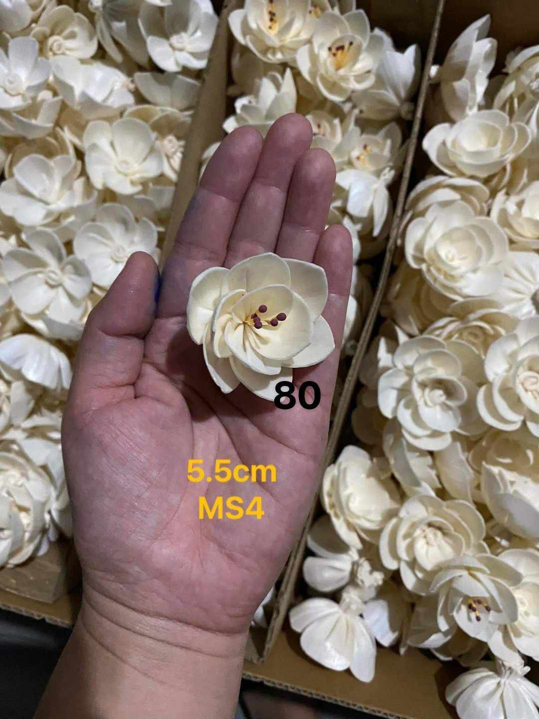 Sola Wood Flower