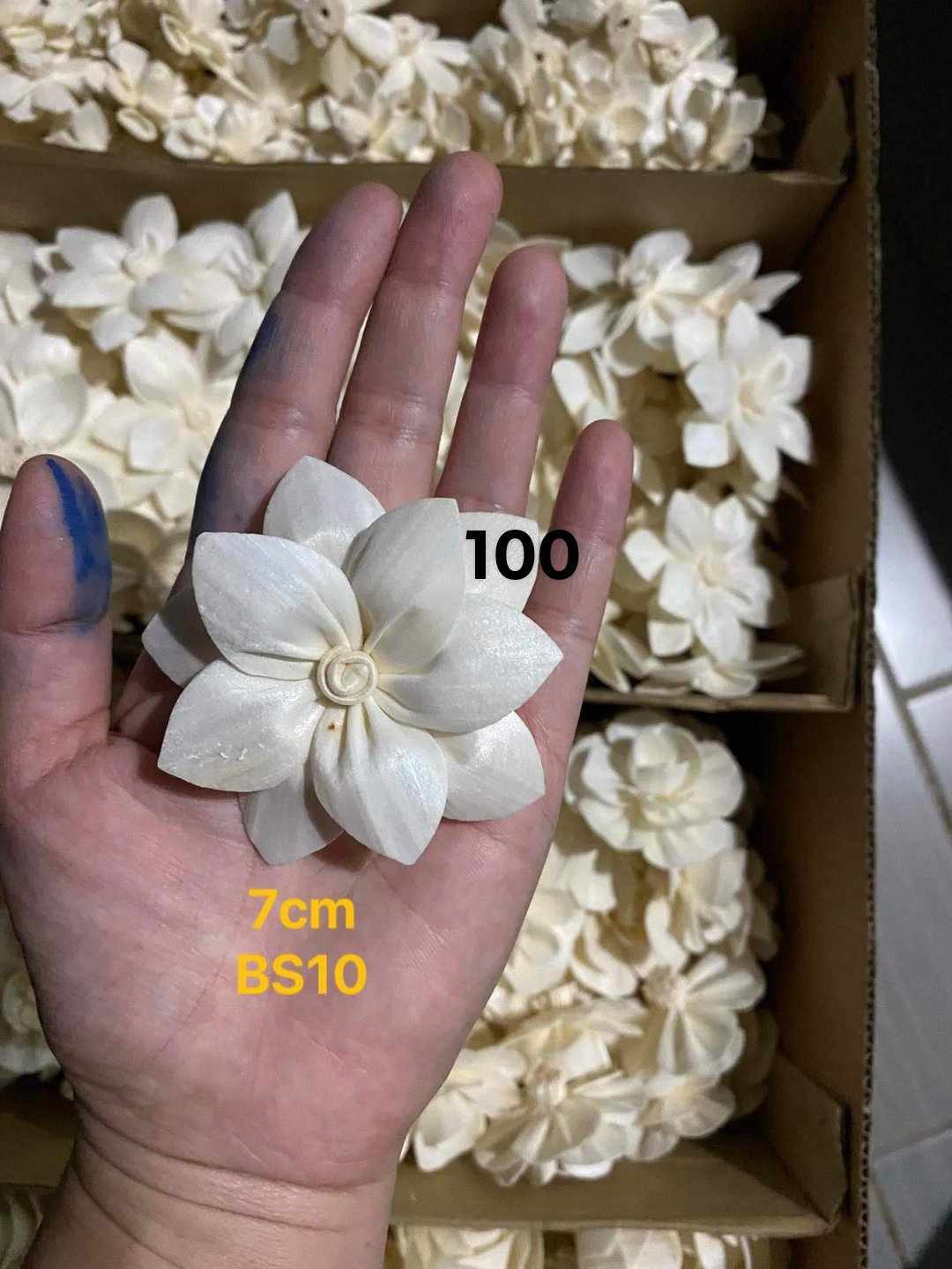 Sola Wood Flower