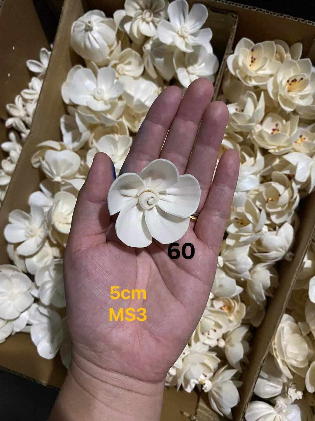 Sola Wood Flower