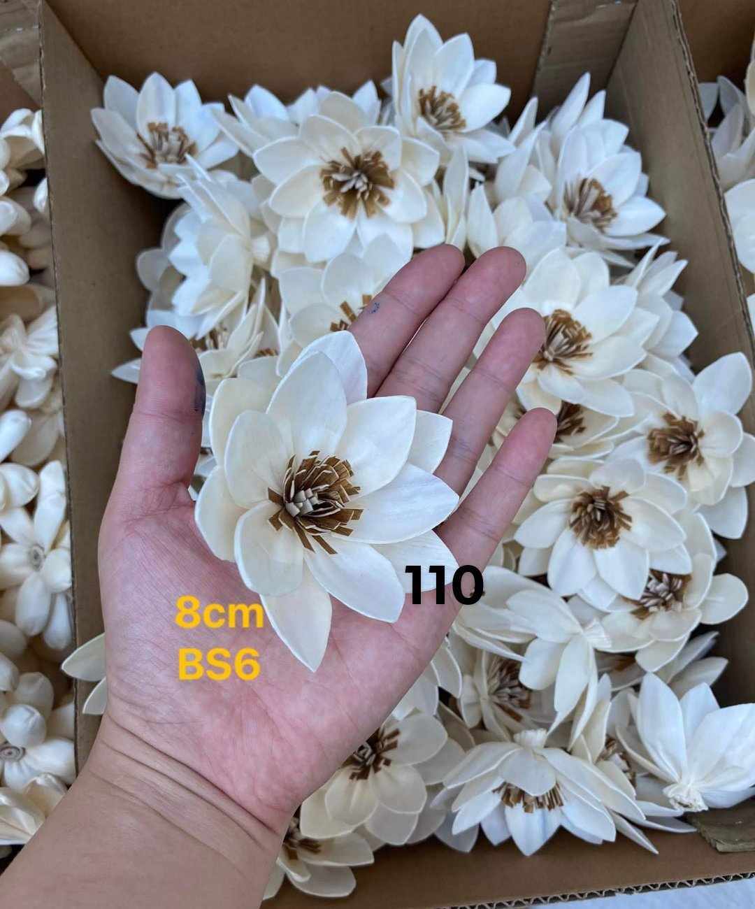 Sola Wood Flower