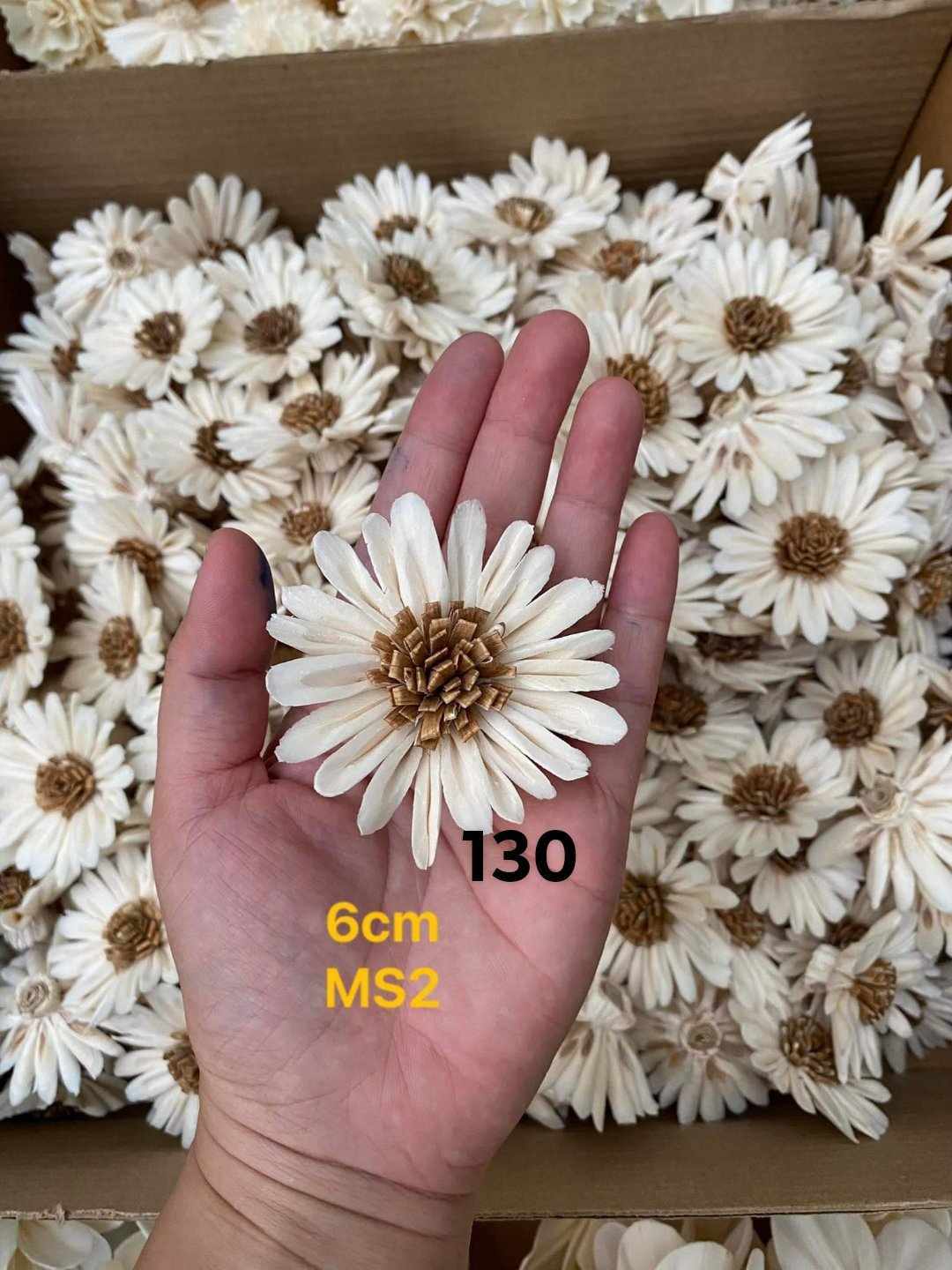 Sola Wood Flower