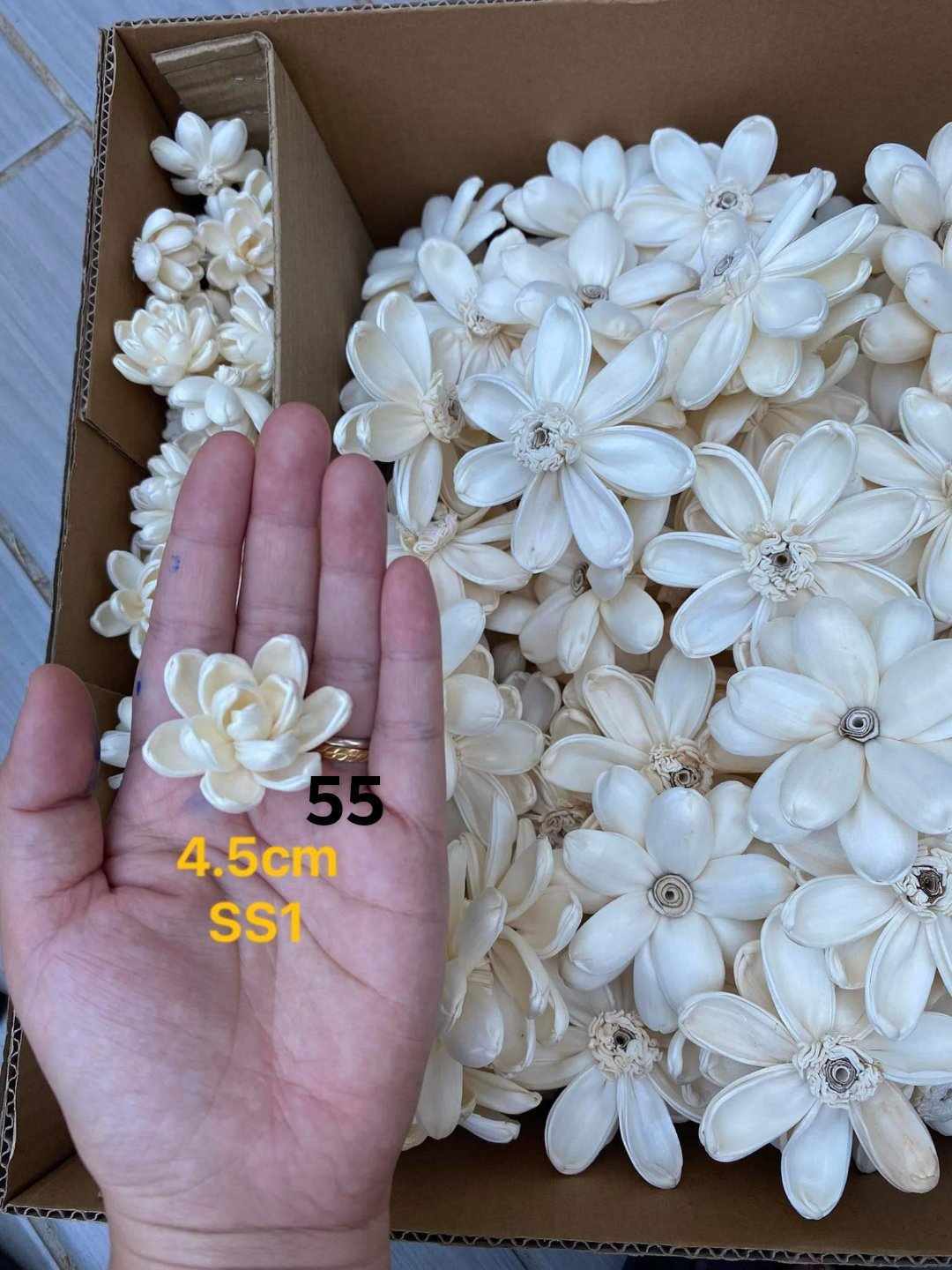 Sola Wood Flower