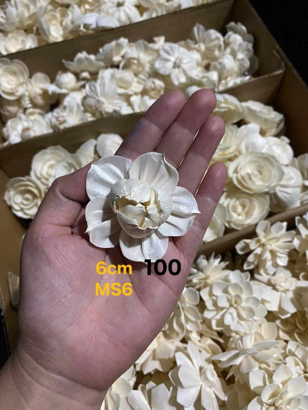 Sola Wood Flower
