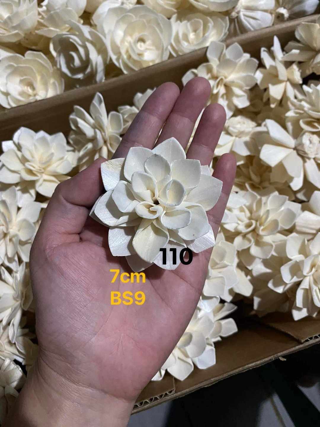 Sola Wood Flower