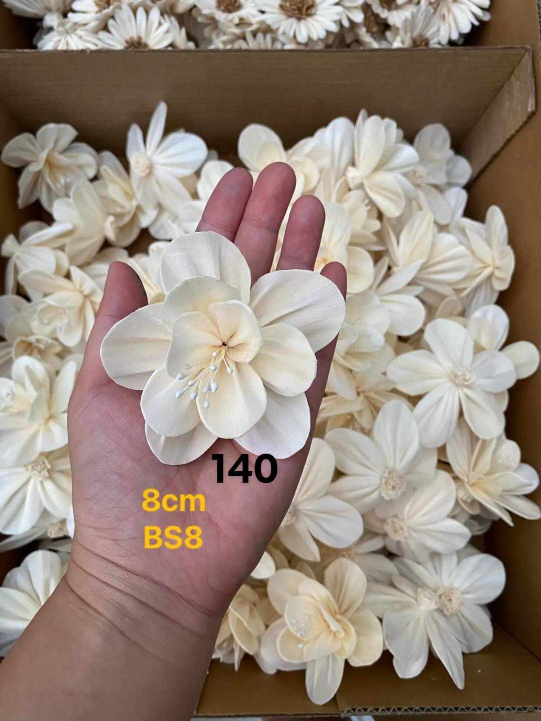 Sola Wood Flower