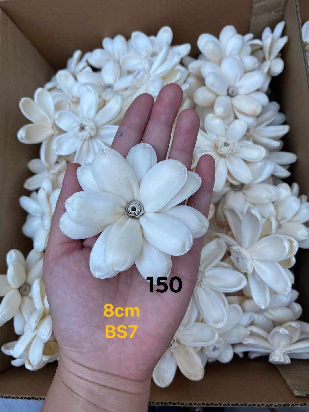 Sola Wood Flower