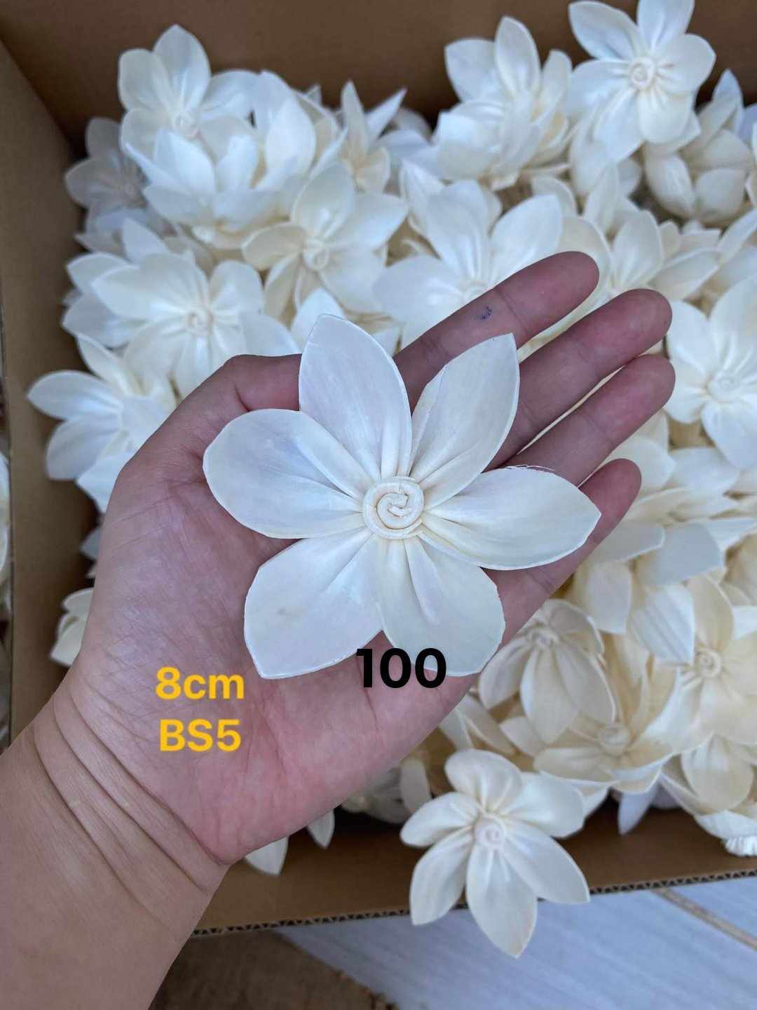 Sola Wood Flower