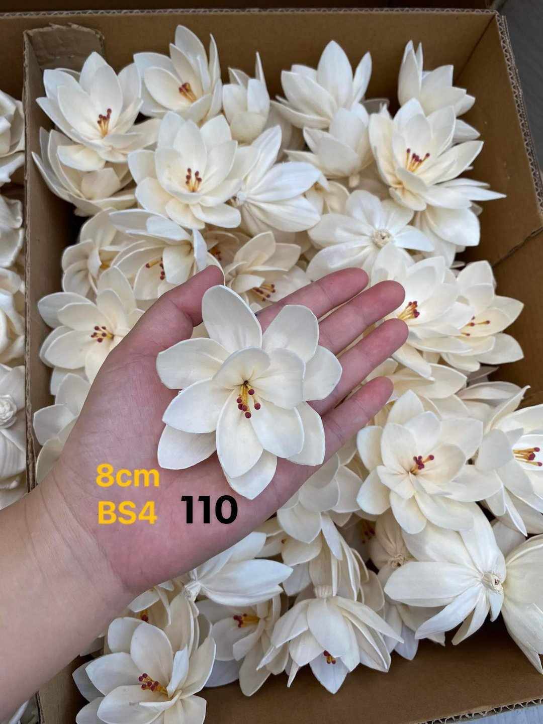 Sola Wood Flower