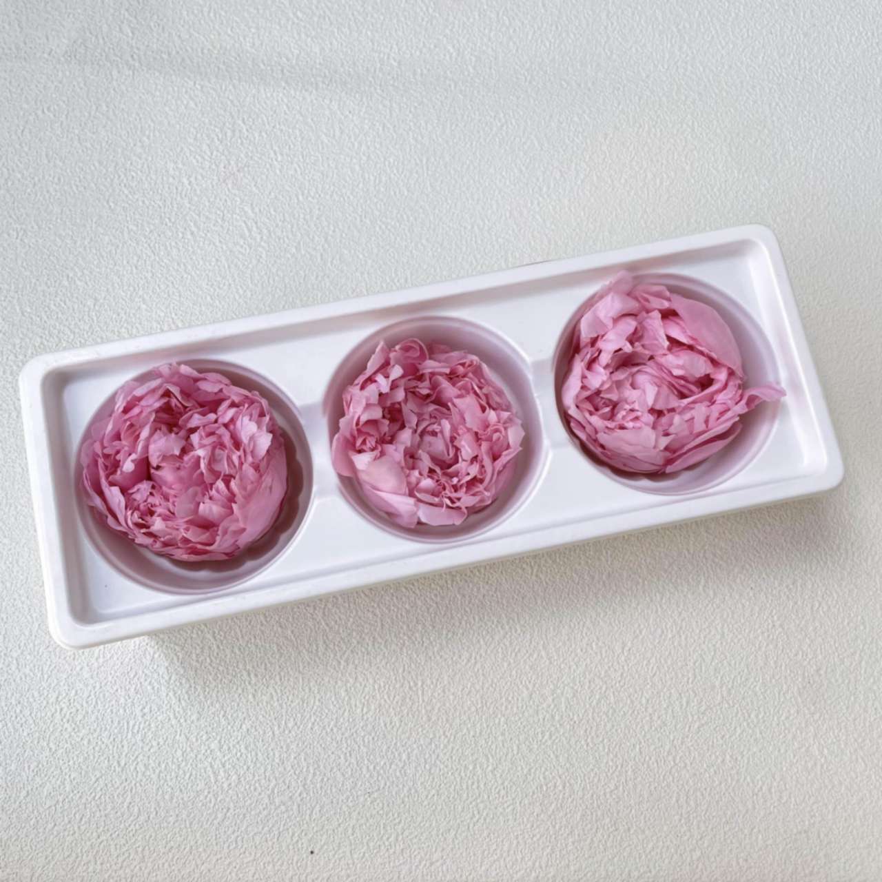 Peony