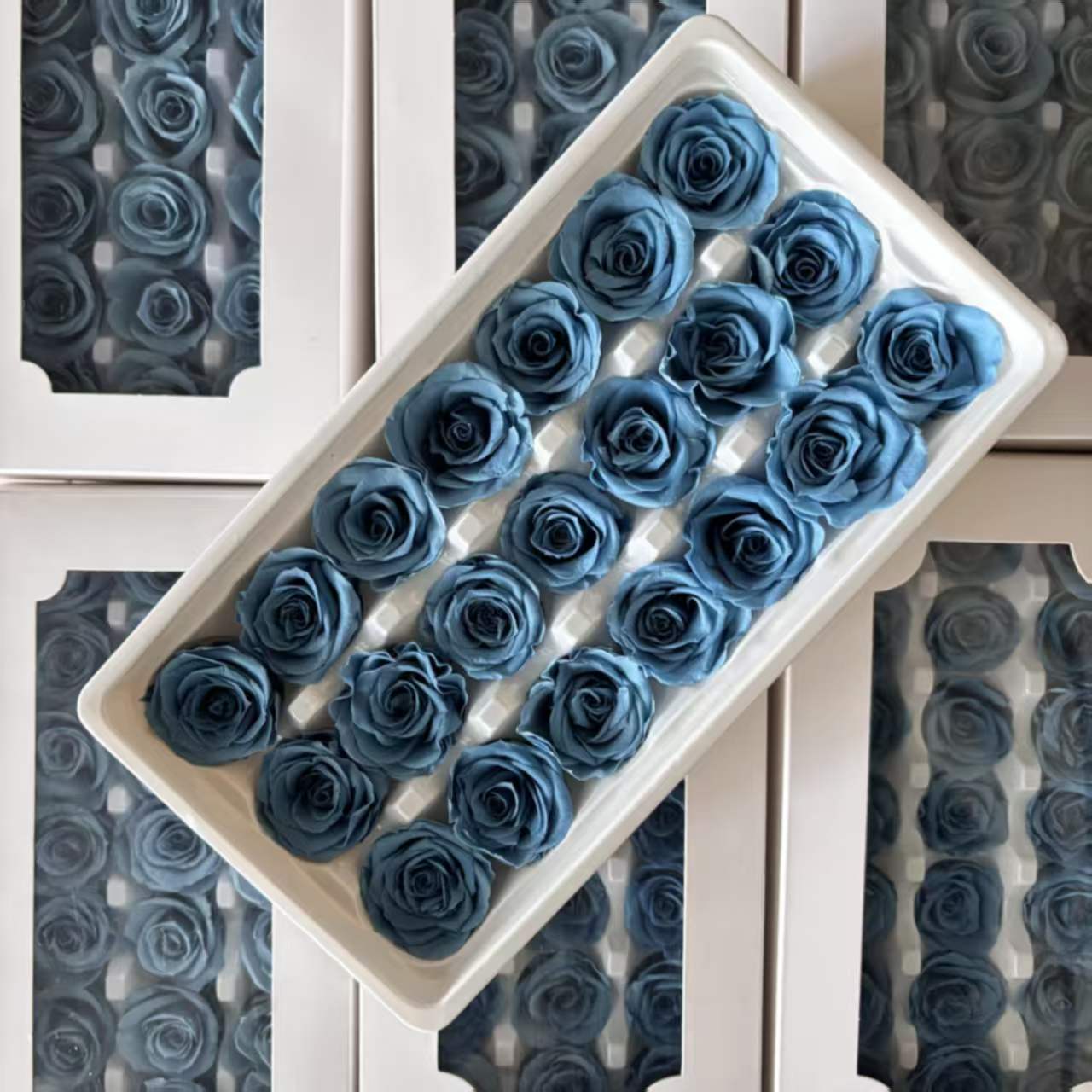 Eternal Rose Blue and Green Shades